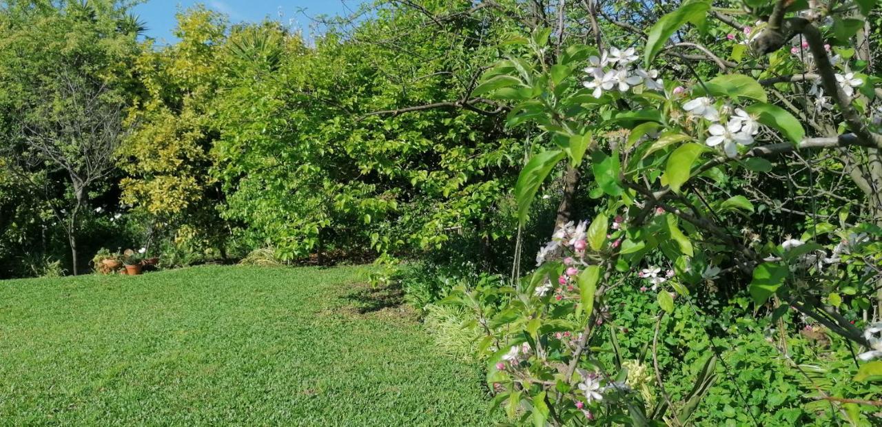 Villa Casa Landim Esterno foto